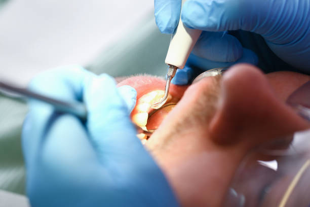 Best Urgent Tooth Repair  in Prairie Grove, IL